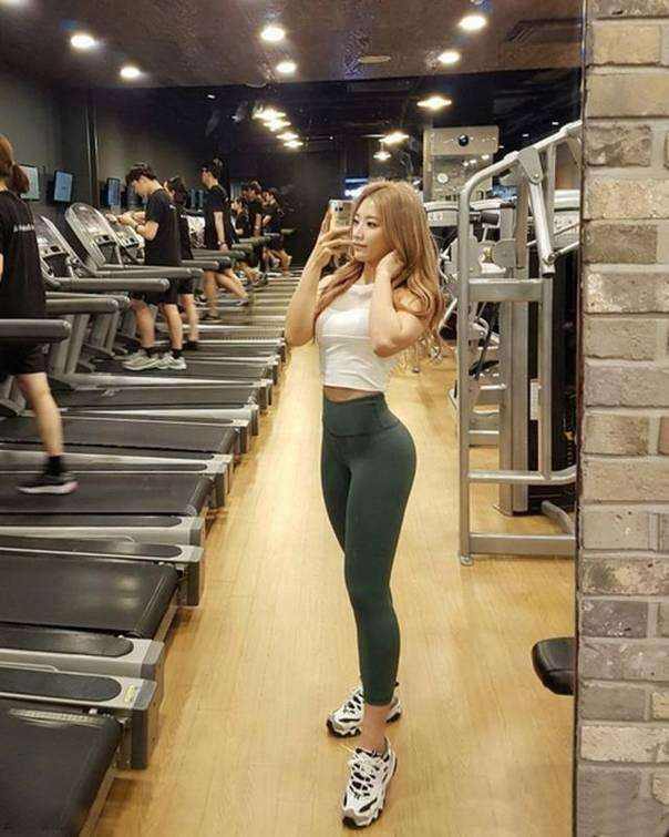 澳门天天免费资料大全下载下载手机版