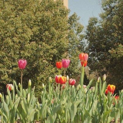 pg棋牌软件平台app下载