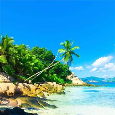 365足球外围平台