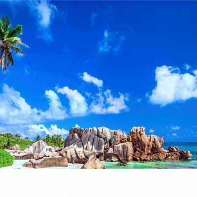 大发彩票正规平台