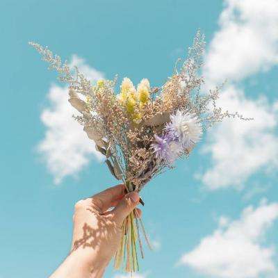 大发彩票正规平台